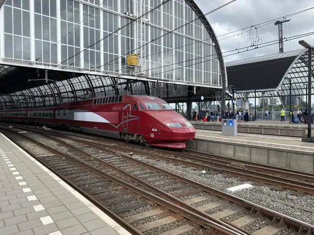 Thalys onder de kap van Amsterdam Centraal