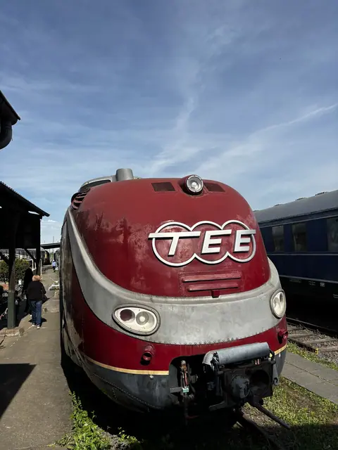 Neus van de TEE