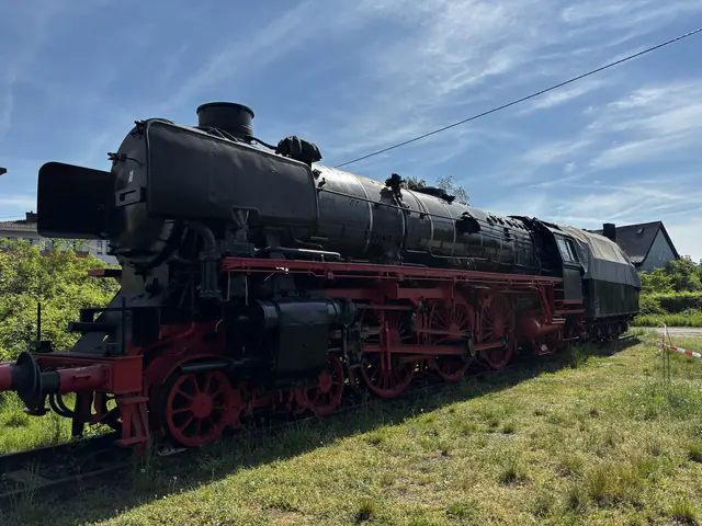 Stoomloc in het gras bij Koblenz